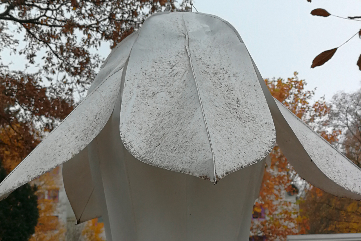 Tipps zur Reinigung der skyflowers Blüten