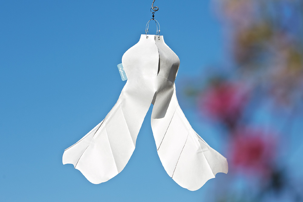 Windspielblüte Ahornfrucht – skyflowers