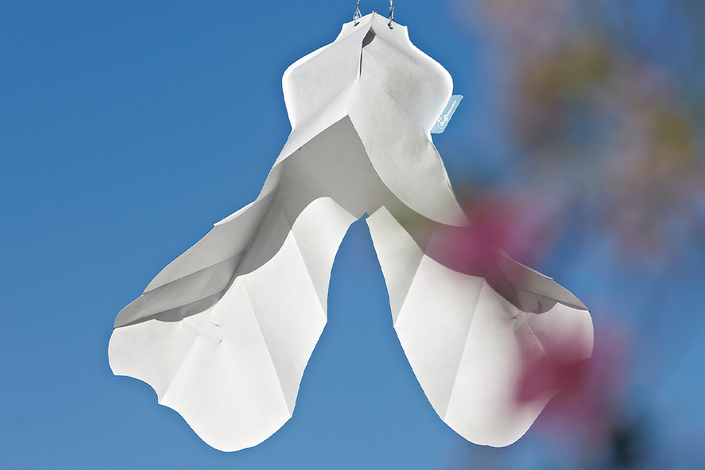 Windspielblüte Ahornfrucht – skyflowers