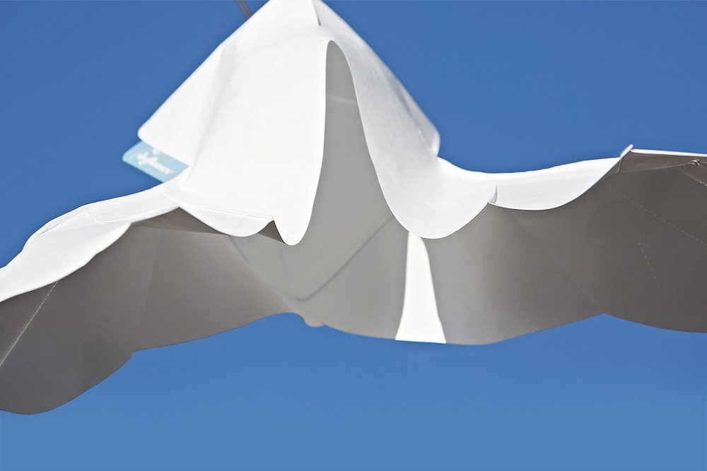 Windspielblüte Ahornfrucht – skyflowers