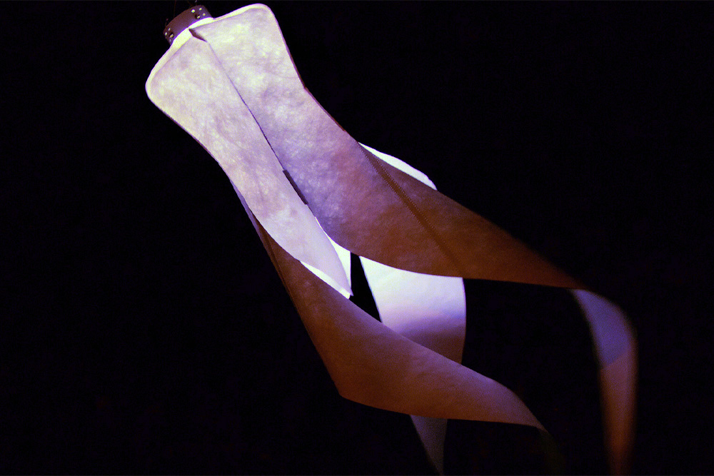 Windspiel Blüte Amazone-Orchidee – skyflowers