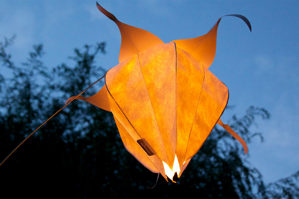 Windspiel Blüte Blasenkirsche – skyflowers