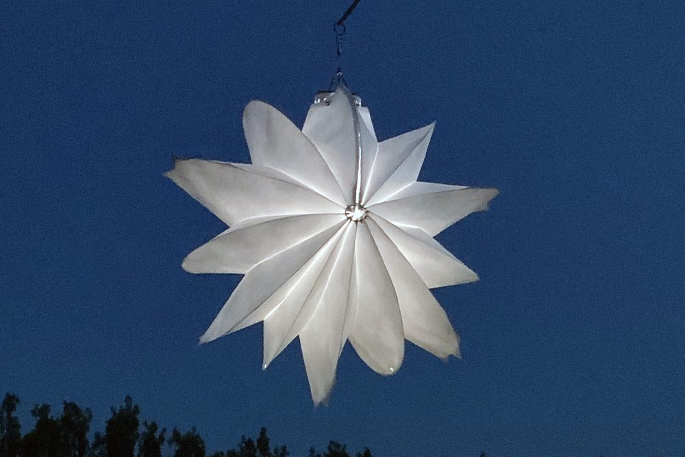 Windspielblüte Dahlie – skyflowers