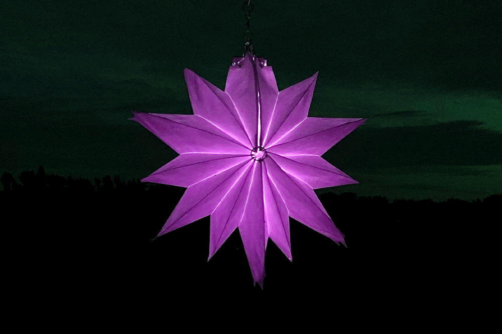 Windspielblüte Dahlie – skyflowers