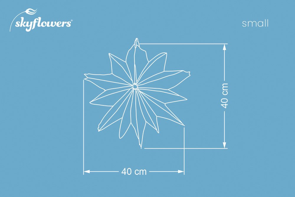 Windspielblüte Dahlie – skyflowers
