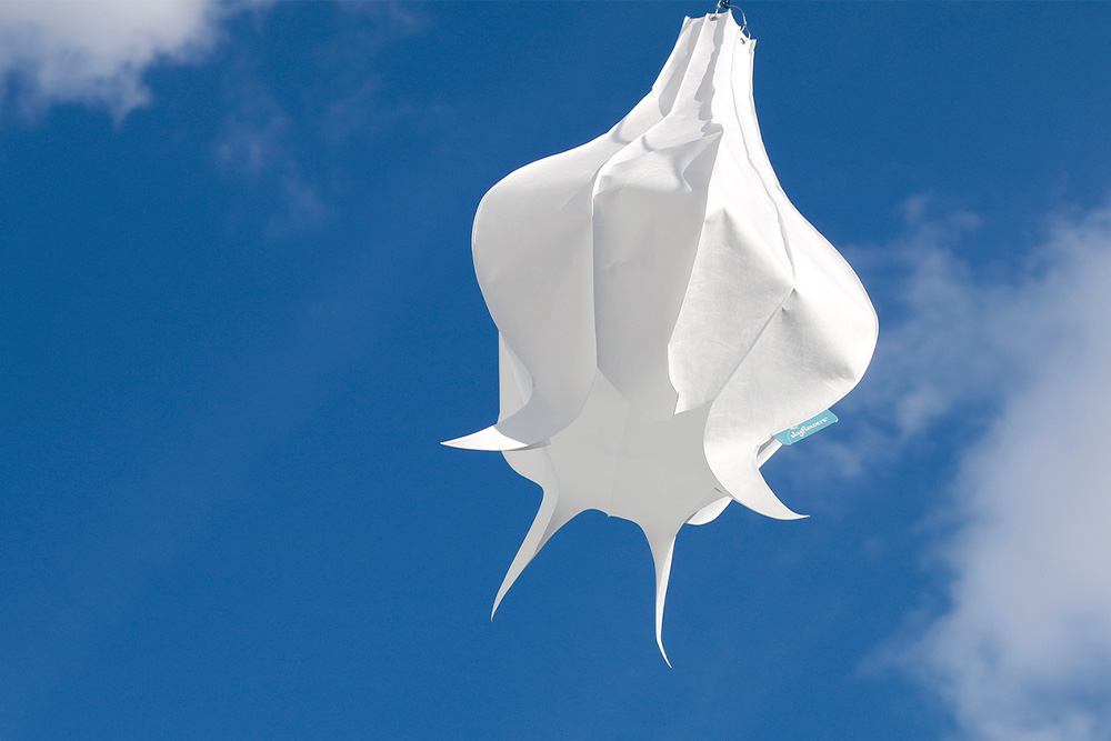 Windspiel Blüte Flammendes Käthchen – skyflowers