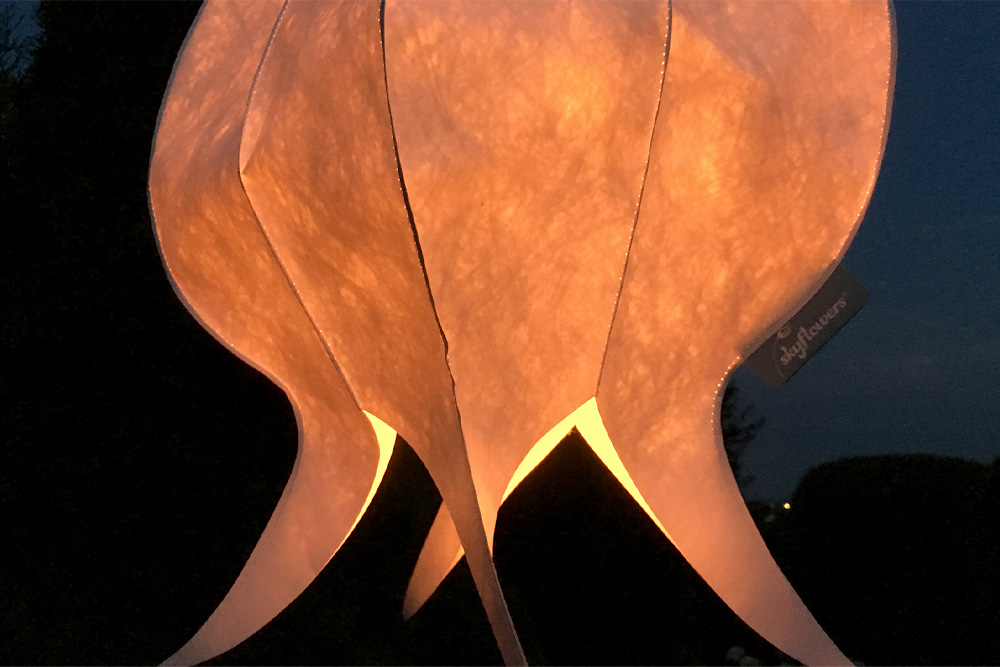 Windspiel Blüte Flammendes Käthchen – skyflowers