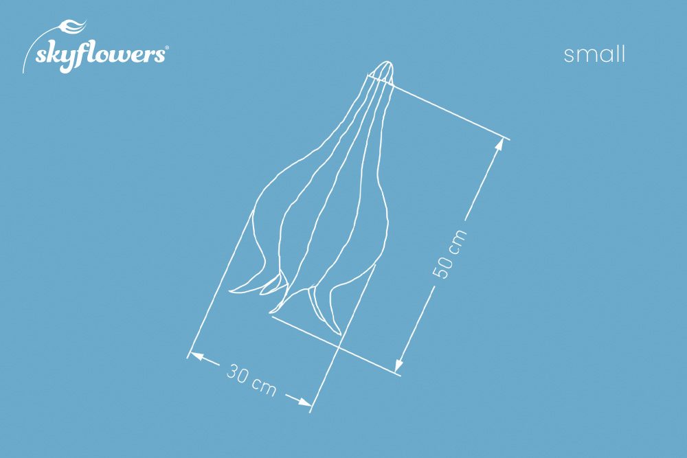 Windspiel Blüte Flammendes Käthchen – skyflowers