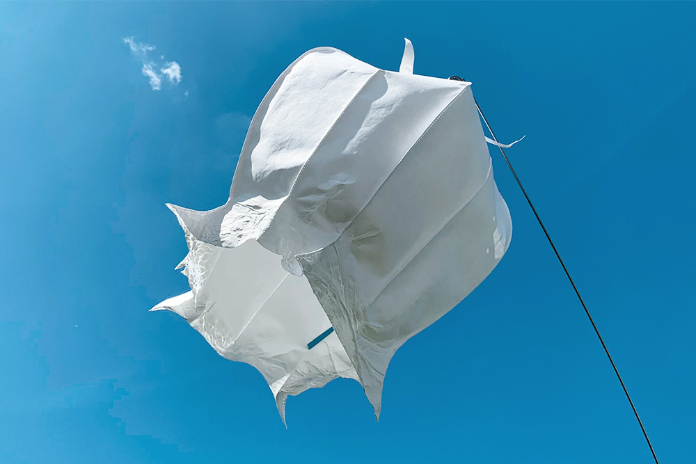 Windspielblüte Mohnkapsel – skyflowers