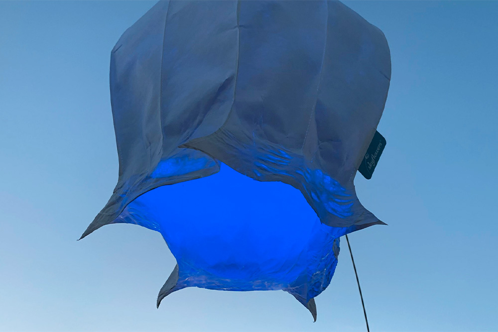 Windspielblüte Mohnkapsel – skyflowers