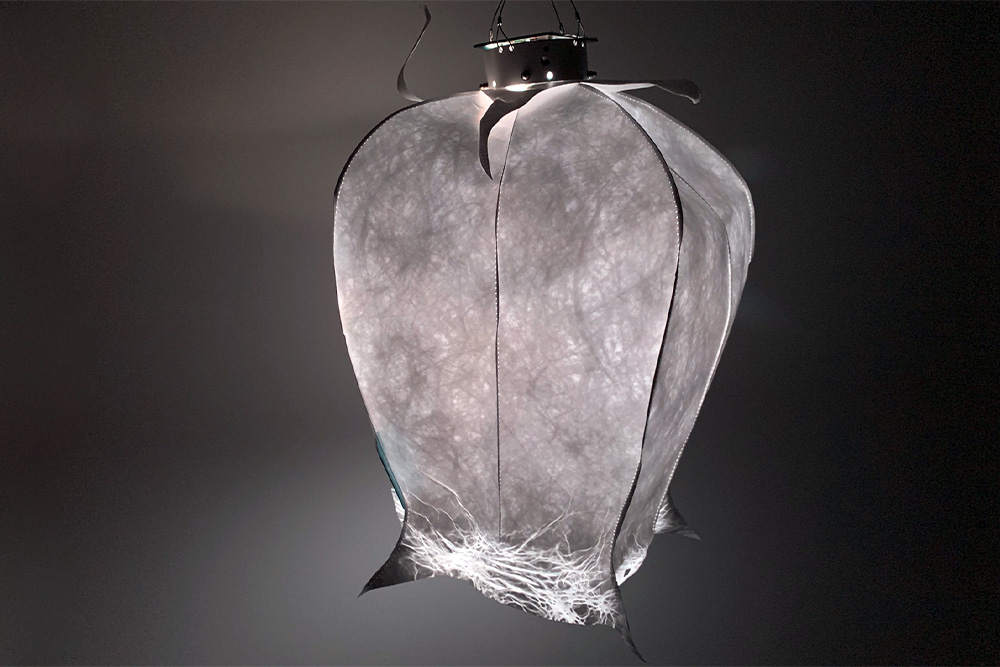 Windspielblüte Mohnkapsel – skyflowers