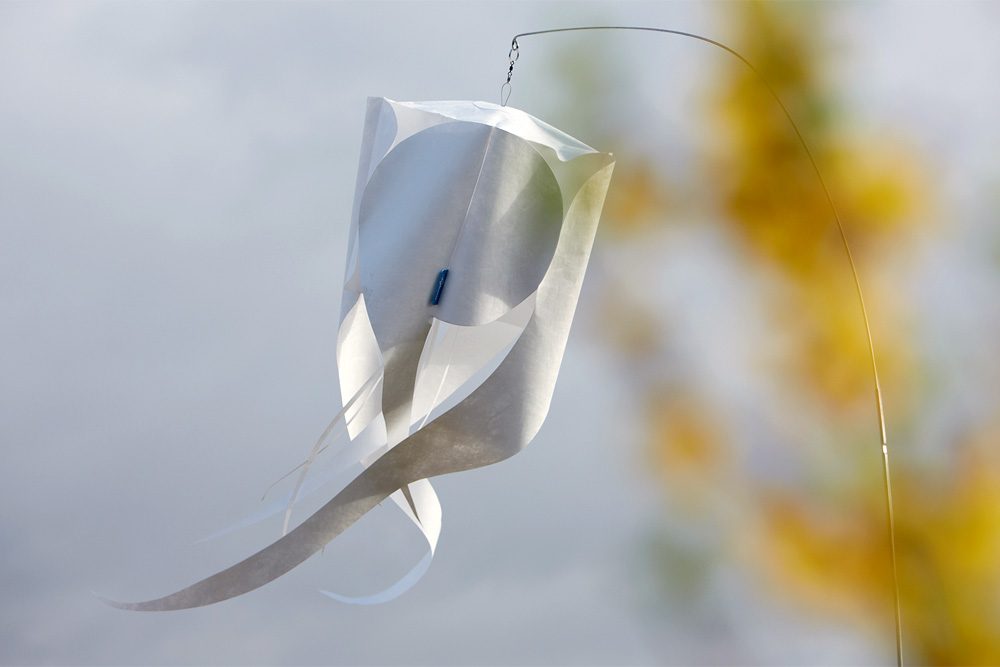 Windspiel Blüte Okraschote – skyflowers