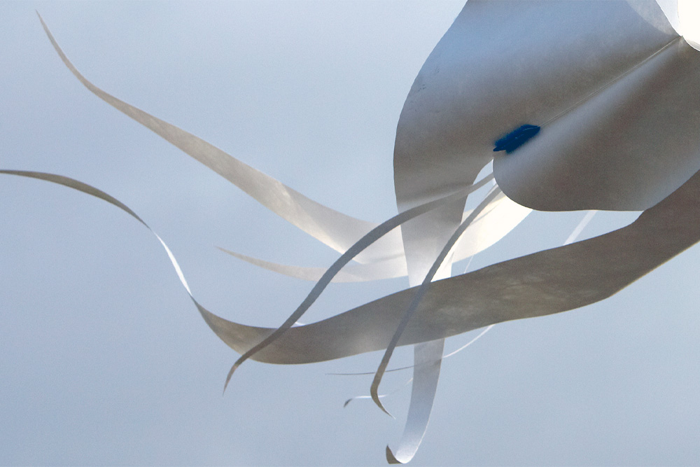 Windspiel Blüte Okraschote – skyflowers