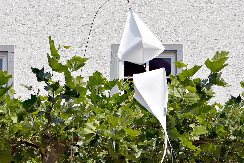 Windspiel Blüte Schwarzäugige Susanne – skyflowers