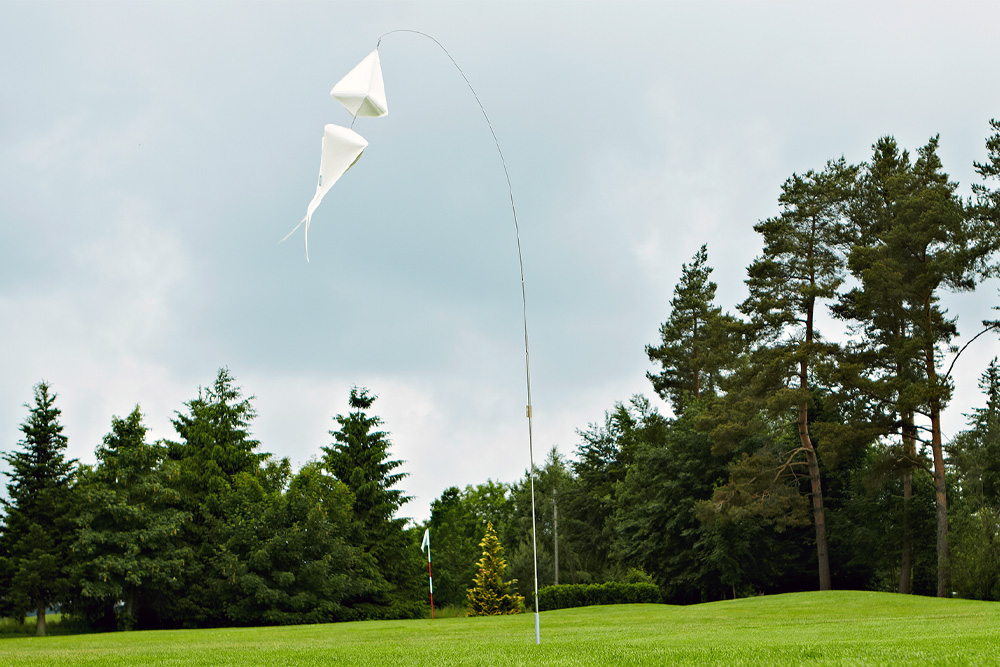 Windspiel Blüte Schwarzäugige Susanne – skyflowers