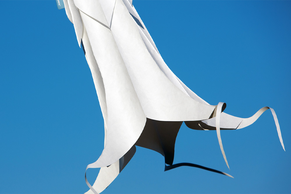 Windspiel Blüte weißer Stechapfel – skyflowers