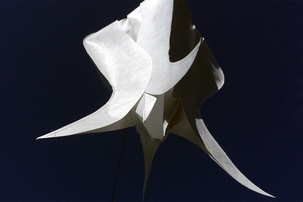 Windspiel Blüte Tulpe Elegant Lady – skyflowers