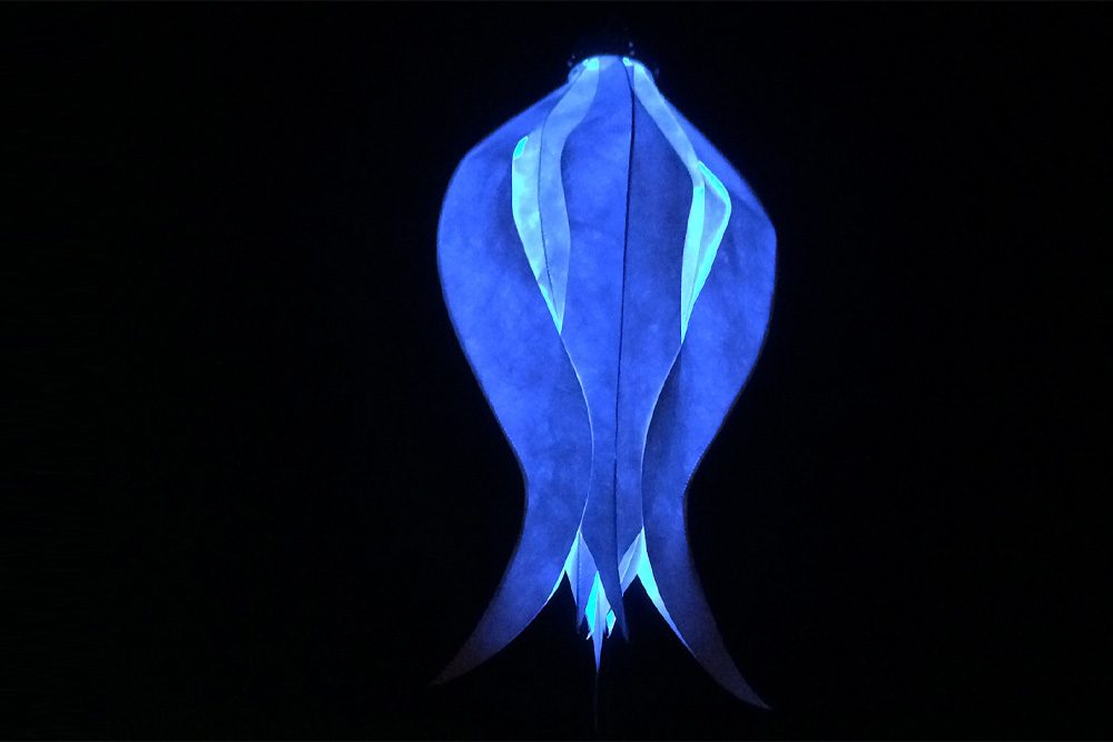 Windspiel Blüte Tulpe Elegant Lady – skyflowers