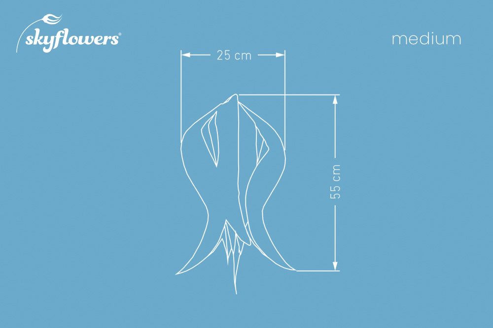 Windspiel Blüte Tulpe Elegant Lady – skyflowers