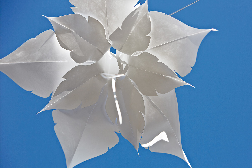Windspiel Blüte Weihnachtsstern – skyflowers