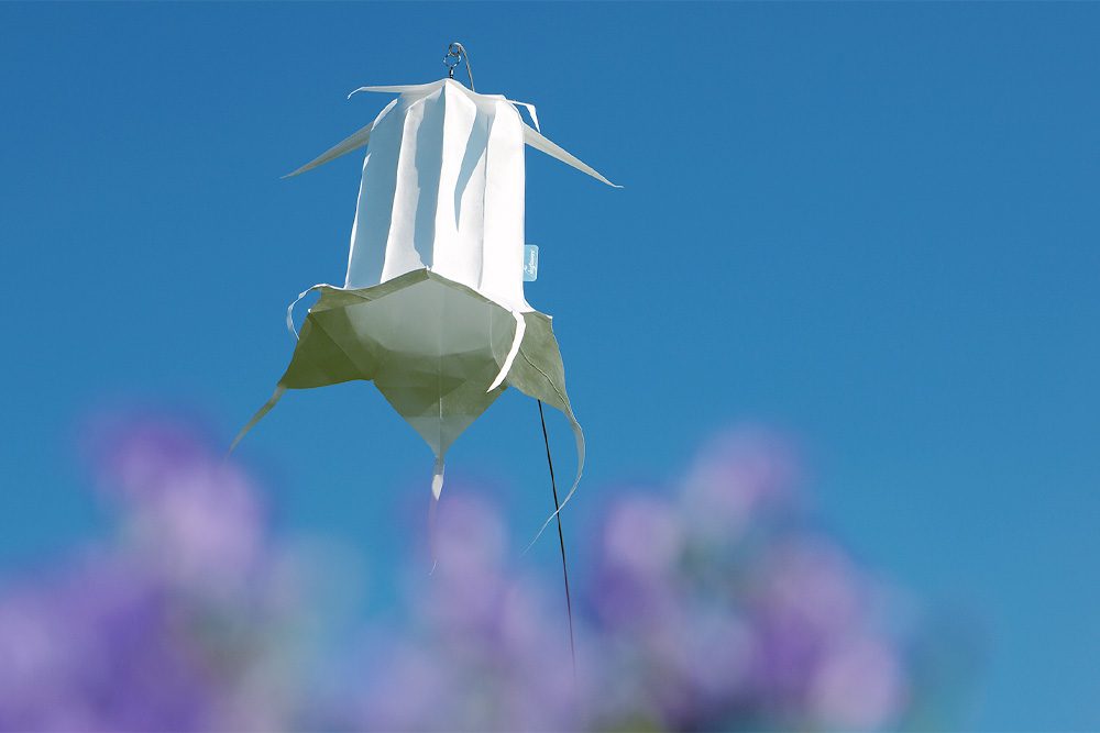 Windspiel Blüte Wiesenglockenblume – skyflowers