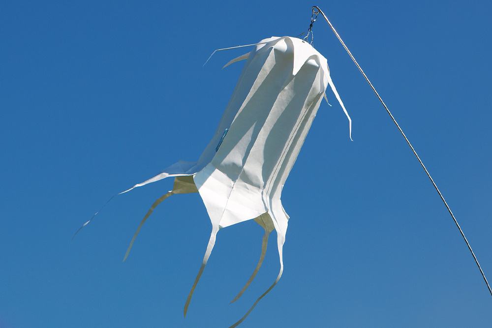 Windspiel Blüte Wiesenglockenblume – skyflowers